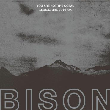 Bison - You Are Not The Ocean You Are The Patient