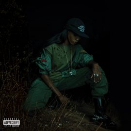 Angel Haze - Back To The Woods