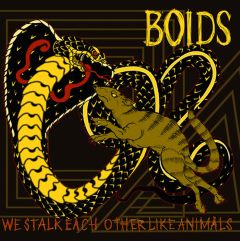 BOIDS - We Stalk Each Other Like Animals