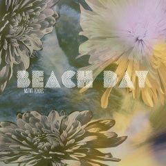 Beach Day - Native Echoes