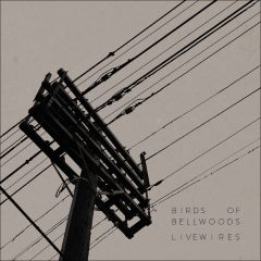 Birds Of Bellwoods - Livewires