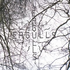 Eagulls - Eagulls