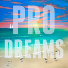 Future Of What - Pro Dreams