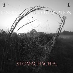 frnkiero andthe cellabration - Stomachaches