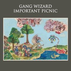 Gang Wizard - Important Picnic