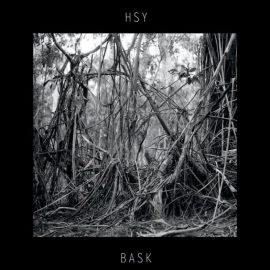 HSY - Bask