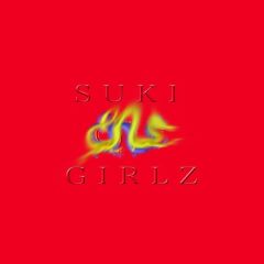 James Ferraro - Suki Girlz