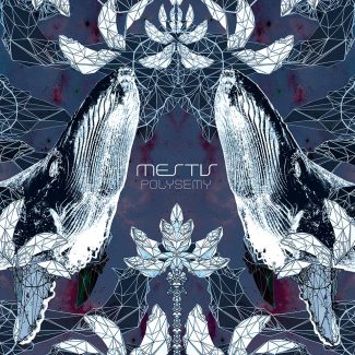 Mestis - Polysemy