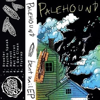 Palehound - Bent Nail