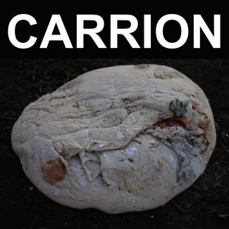 Recitation - Carrion