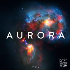 Rose Wintergreen - Aurora