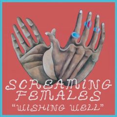 Screaming Females - Wishing Well