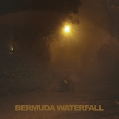 Sean Nicholas Savage - Bermuda Waterfall