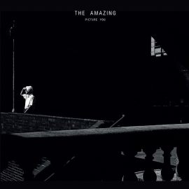 The Amazing - Picture You